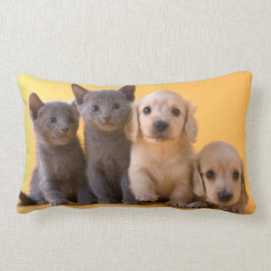 Cojín Lumbar Gatitos y perritos azules rusos del Dachshund