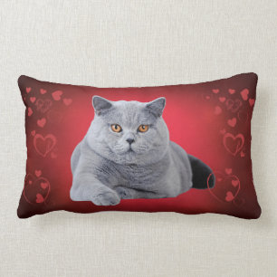 Cojín Lumbar Gato de amor de shorthair británico