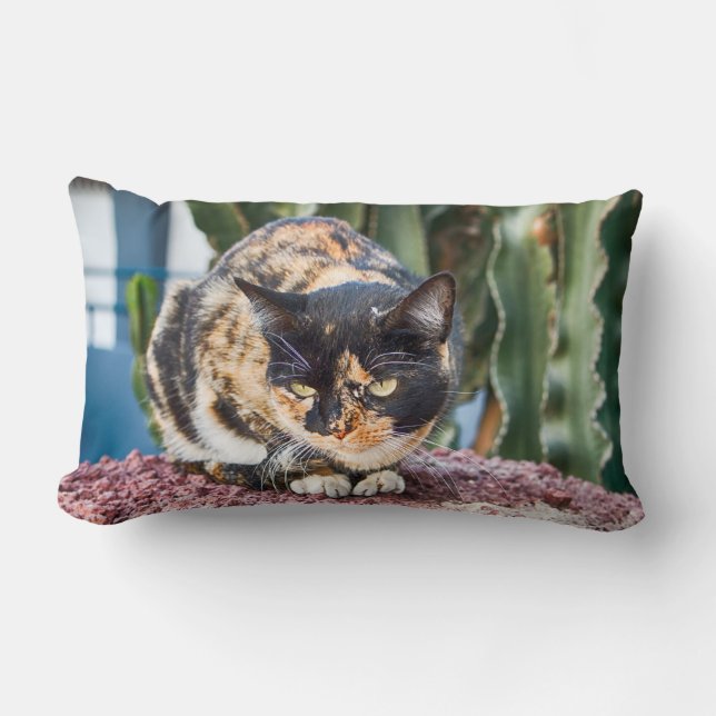 Cojín Lumbar Gato de Maspalomas (Anverso)