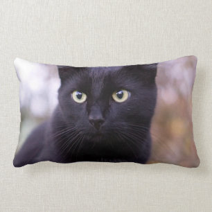 Cojín Lumbar gato negro