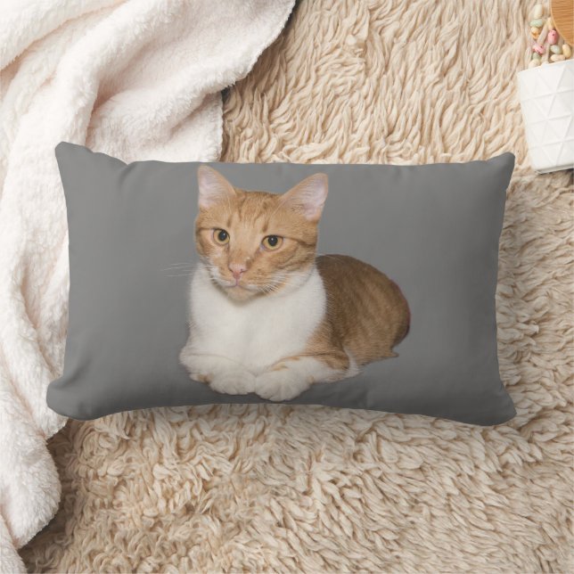 COJÍN LUMBAR GINGER DE CUIDADO CAT Y PILLOWS BLANCOS (Manta)