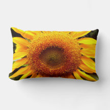Girasol