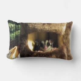 Cojín Lumbar Glider azucarero en camión de árbol furtivo colgan