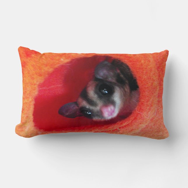 Cojín Lumbar Glider de azúcar en la cama colgada del Naranja (Anverso)