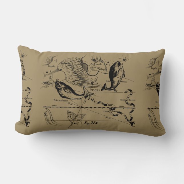 Cojín Lumbar Grabado De Constelación Pisces Hevelius 1690 (Anverso)