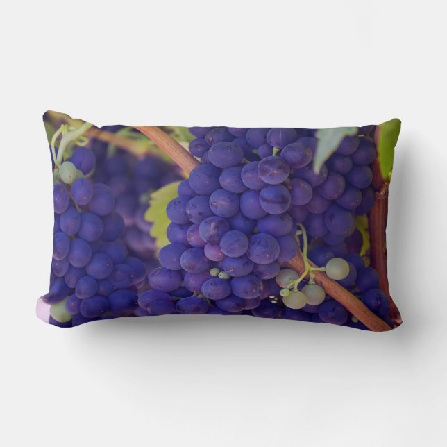 Cojín Lumbar Gran manada de uvas jugosas púrpura (Anverso)
