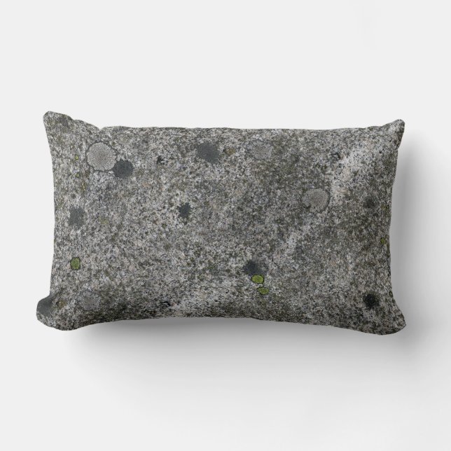 Cojín Lumbar Gris del granito con el musgo verde (Anverso)