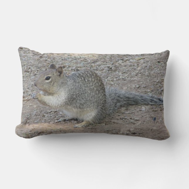 Cojín Lumbar Gris Squirrel Photo Adorable Wild Woodland Animal (Anverso)