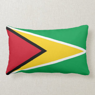 COJÍN LUMBAR GUYANA