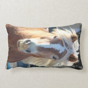 Cojín Lumbar Haflinger