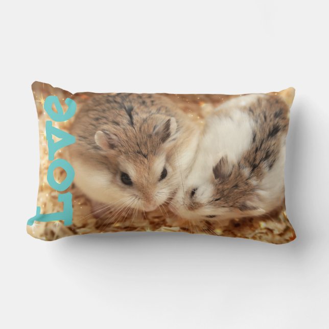 Cojín Lumbar Hammyville - Amor de Hamster (Anverso)