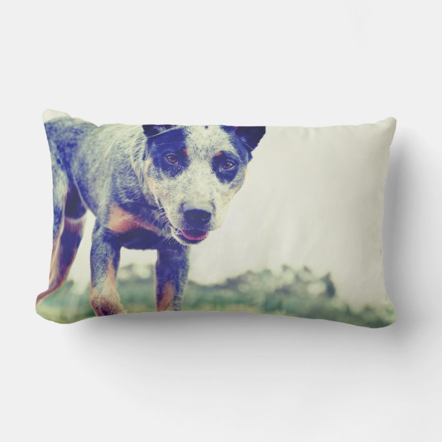 Cojín Lumbar Heeler azul (Anverso)
