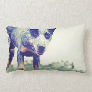 Cojín Lumbar Heeler azul
