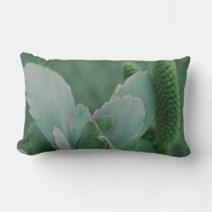 Cojín Lumbar Hermosa Planta Desierta Fotografía de Arte