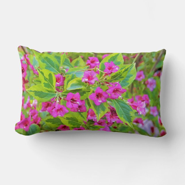 Cojín Lumbar Hermosa Weigela verde con flores de Crimson (Anverso)