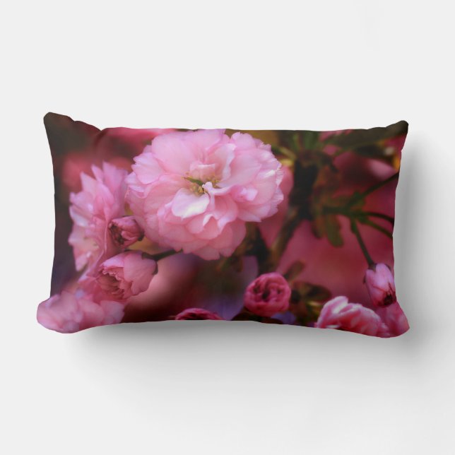 Cojín Lumbar Hermosas flores de cerezo rosado de primavera (Anverso)