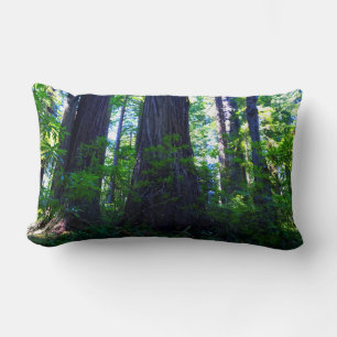 Cojín Lumbar Hermoso bosque de secuoya