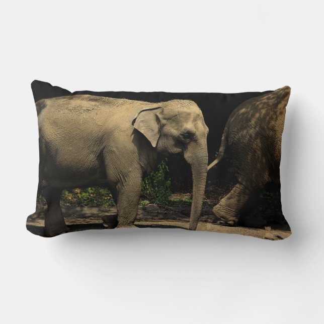 Cojín Lumbar Hermoso elefante (Anverso)