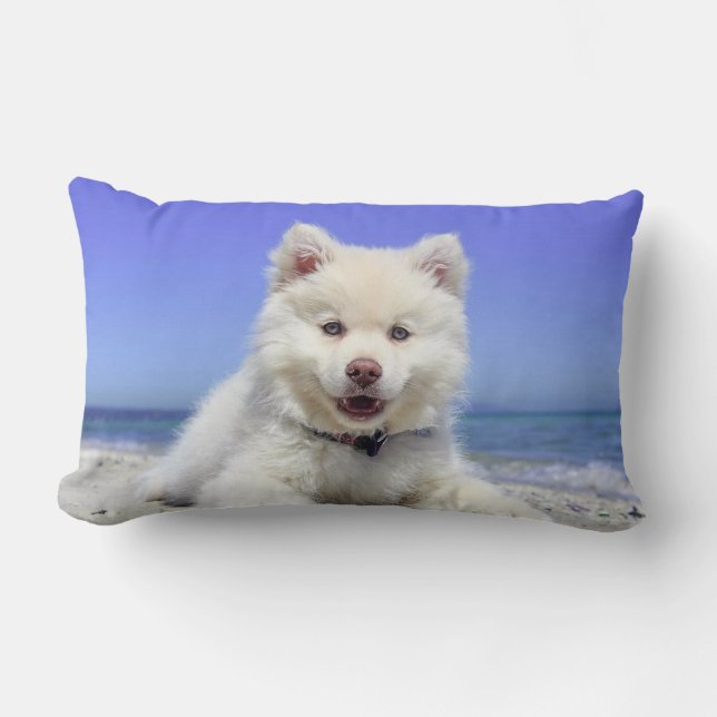Cojín Lumbar Hermoso perro Samoyedo (Anverso)