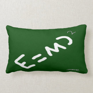 Cojín Lumbar HI54EDU Relatividad física RVC