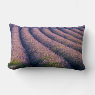 Cojín Lumbar Hileras de lavanda en Provenza