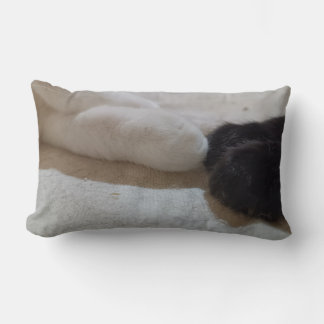 Cojín Lumbar hombre del gato de dios
