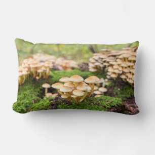 Cojín Lumbar Hongos amarillos en el bosque otoñal.
