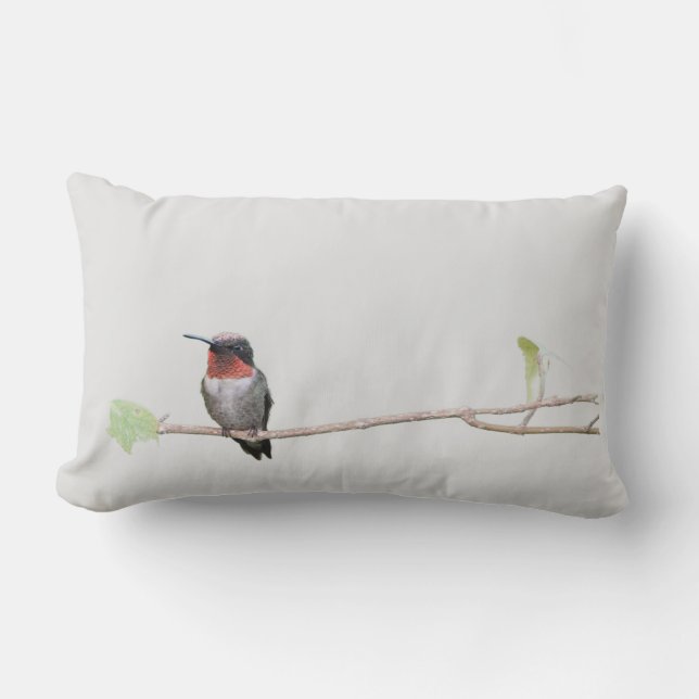 Cojín Lumbar Hummingbird (Anverso)
