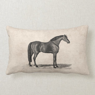 Cojín Lumbar Ilustracion árabe del caballo de los 1800s del