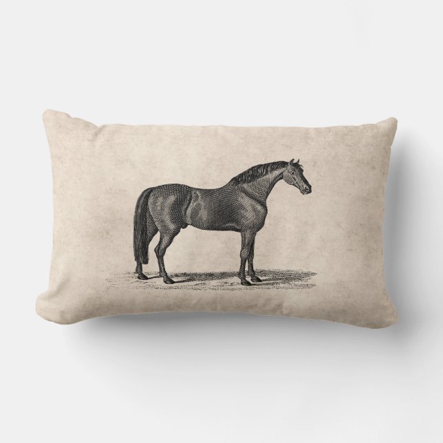 Cojín Lumbar Ilustracion árabe del caballo de los 1800s del (Anverso)