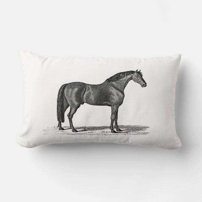 Cojín Lumbar Ilustracion árabe del caballo de los 1800s del (Anverso)