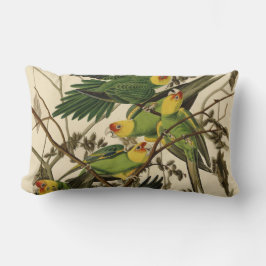 Cojín Lumbar Ilustracion Audubon Carolina Parrot Bird