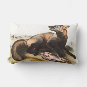 Cojín Lumbar Ilustracion de la Cruz Fox de Estados Unidos (Cani