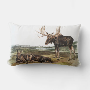 Cojín Lumbar Ilustracion Moose Deer (Servus alces)