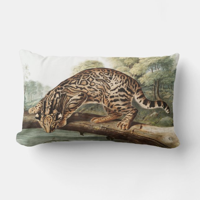 Cojín Lumbar Ilustracion Ocelot, Leopard Cat (Felis pardalis) (Anverso)