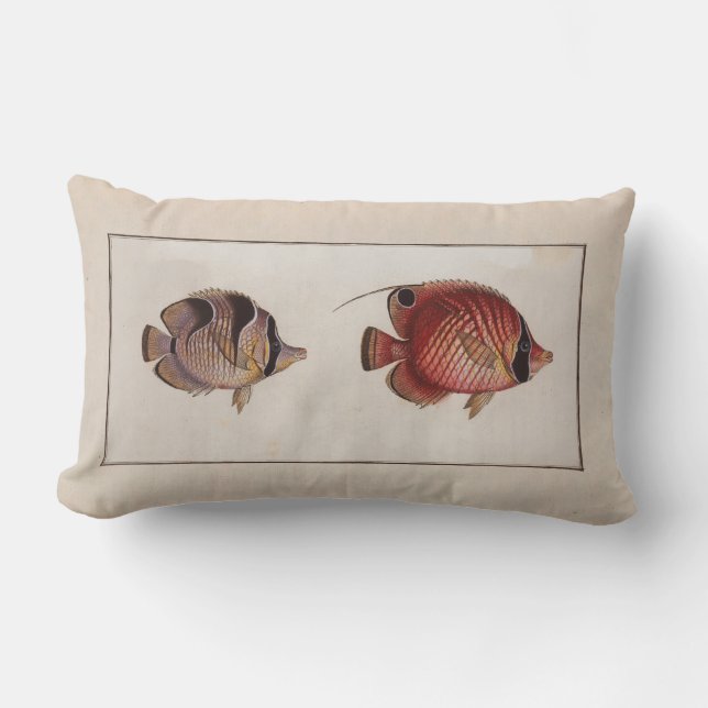 Cojín Lumbar Ilustracion Vintage Mariposa (Anverso)