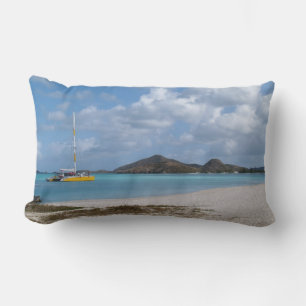 Cojín Lumbar Imágenes escénicas reversibles en el Pillow de Ant