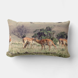 Cojín Lumbar Impala salvaje retro 1963, animal antelopólico afr