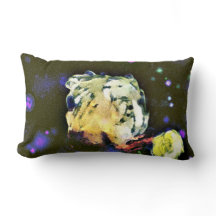 Invisionista: Un viaje celeste