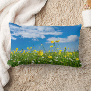 Cojín Lumbar isla de Sudamérica Escocia