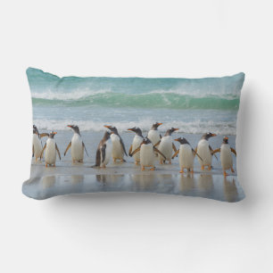 Cojín Lumbar Islas Malvinas. Isla Saunders. Gentoo