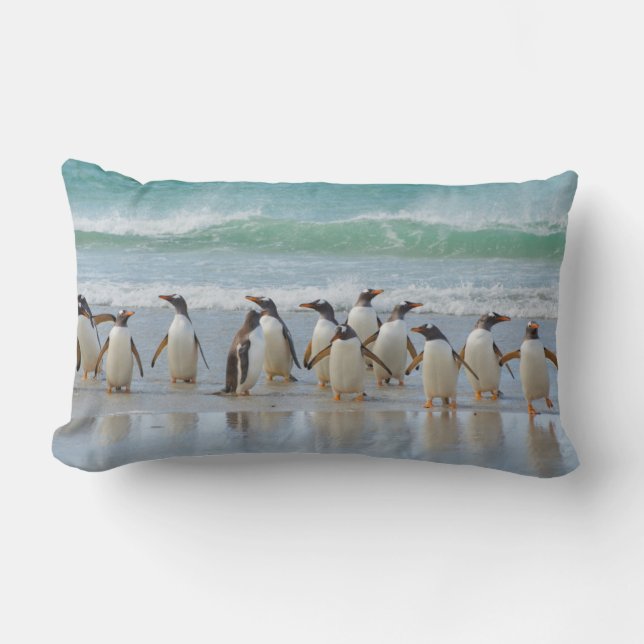 Cojín Lumbar Islas Malvinas. Isla Saunders. Gentoo (Anverso)