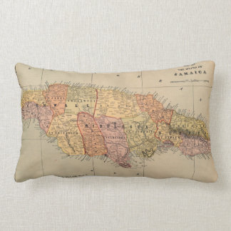 Cojín Lumbar Jamaica 1901