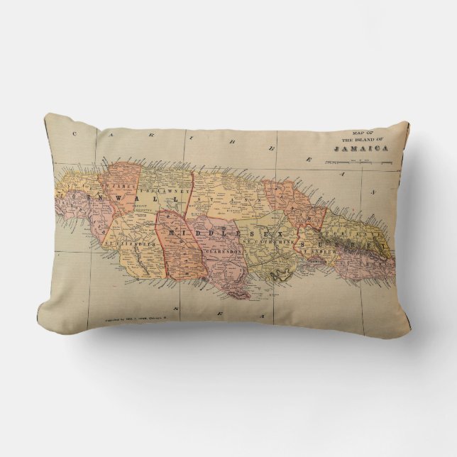 Cojín Lumbar Jamaica 1901 (Anverso)