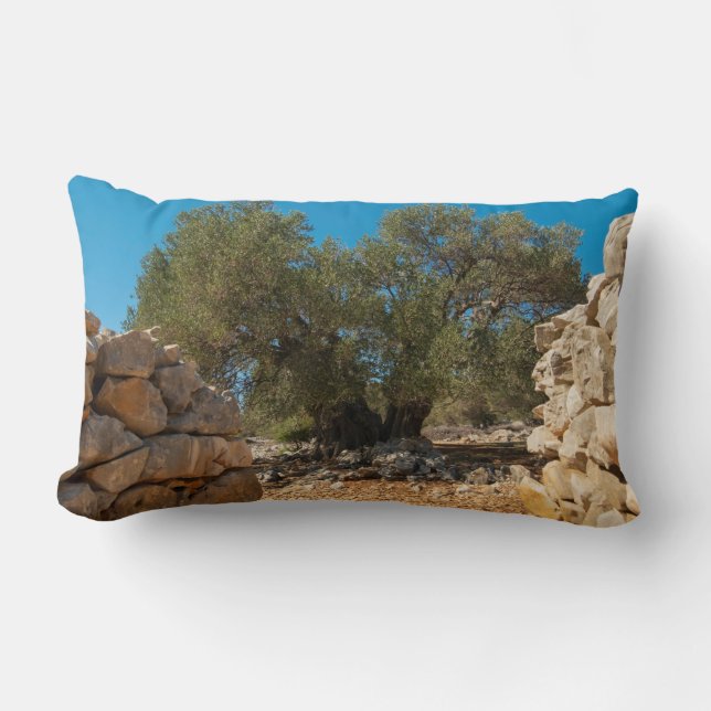 Cojín Lumbar Jardines de oliva de Lun (Anverso)