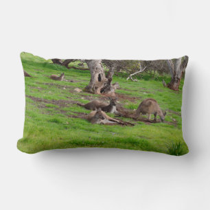Cojín Lumbar Kangaroo Siesta, Lumbar Cushion.
