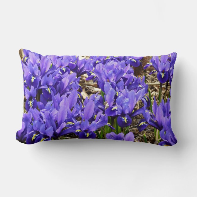 Cojín Lumbar Katherine Hodgkin Iris Purple Spring Floral (Anverso)