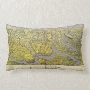 Cojín Lumbar Kentucky y Tennessee 5