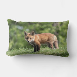 Cojín Lumbar Kit Red Fox