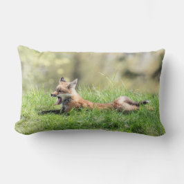 Cojín Lumbar Kit Red Fox